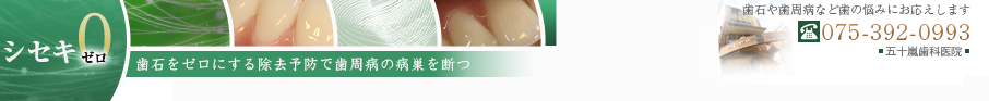 シセキゼロ - 歯石をゼロにする除去予防で歯周病の病巣を断つ